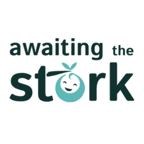 Boppy Nursing Pillow - Breastfeeding & Bottle-Feeding Support – Awaiting the Stork
