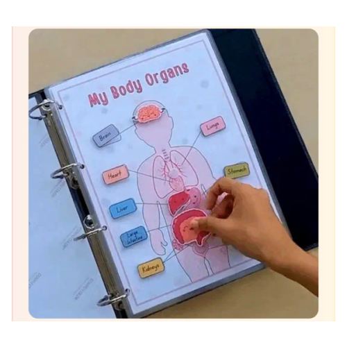 TinyDoc – Kiddie Corner
