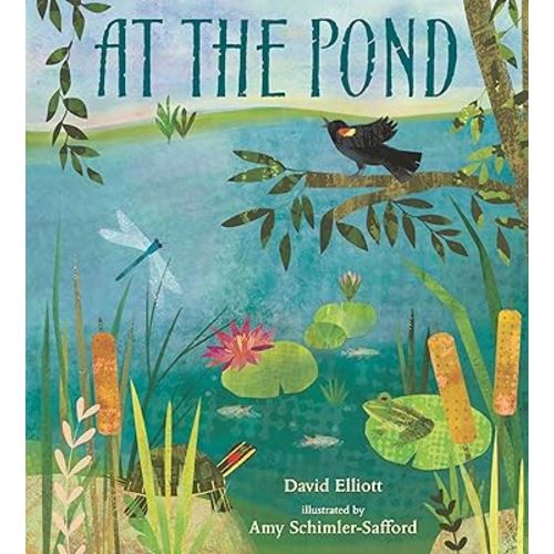 At the Pond (Paws, Fins, Feathers, Claws)