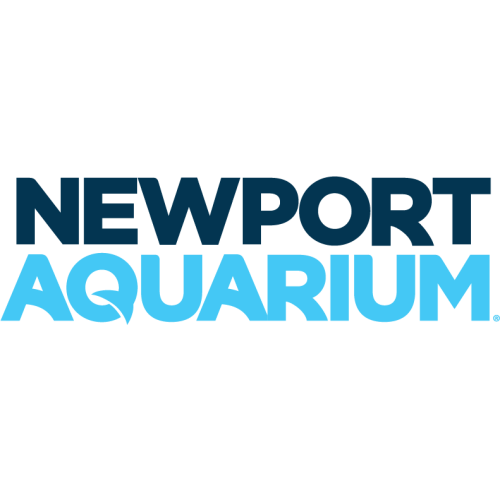 Newport Aquarium 1 adult membership