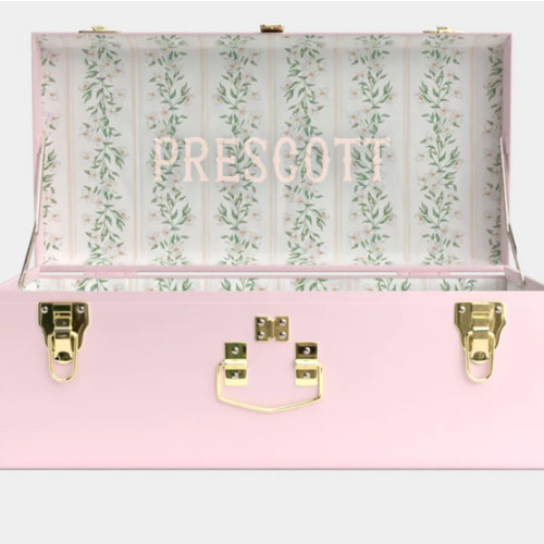 Petite Trunk - Pink