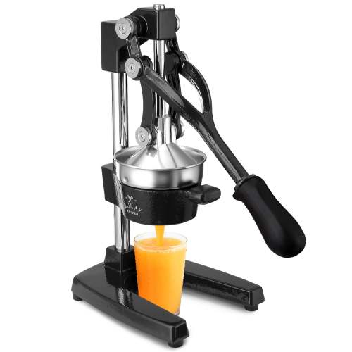 Cast Iron Juicer