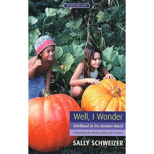 Well, I Wonder: Childhood in the Modern World: A Handbook for Parents, Teachers, and Carers (Bringing Spirit to Life)