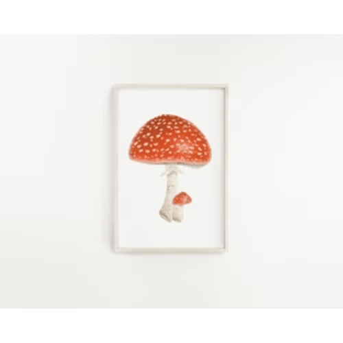 Watercolor Mushroom Painting, Red Capped mushroom print, Red Toadstool, Spotted Mushroom, Print of a Mushroom, Fly Agaric