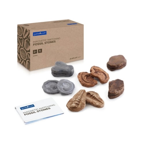 Magnetic Matching Fossil Stones - Set of 6 – Guidecraft