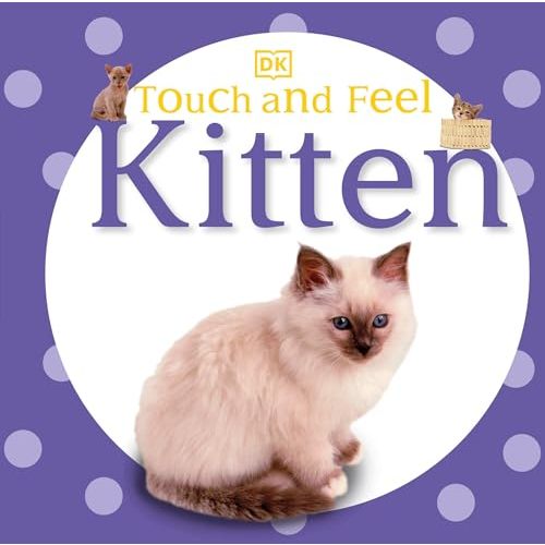 Touch and Feel: Kitten