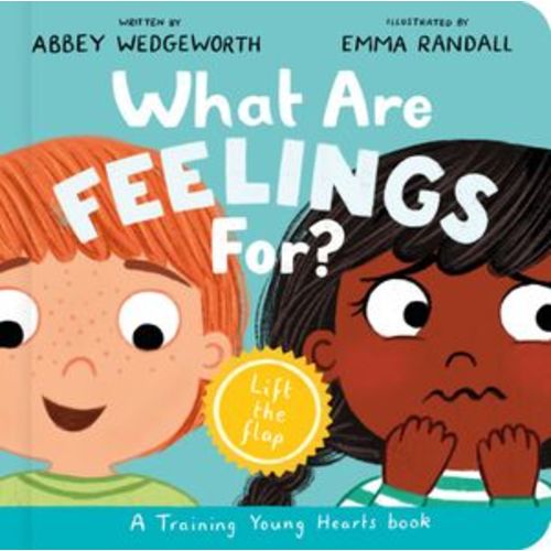 What Are Feelings For? Board Book: A Lift-The-Flap Board Book