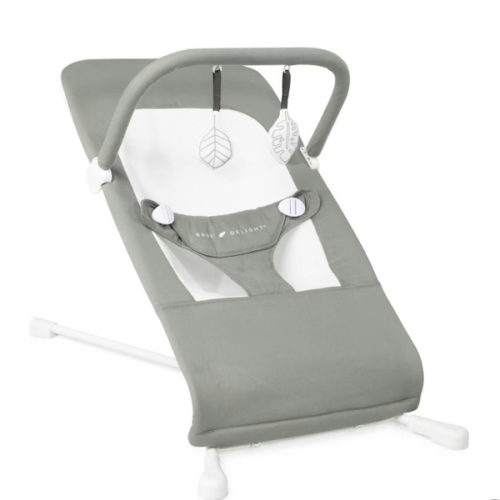 Baby Delight Highland Baby Bouncer | Infant | 0 – 6 Months | 3-Position Recline