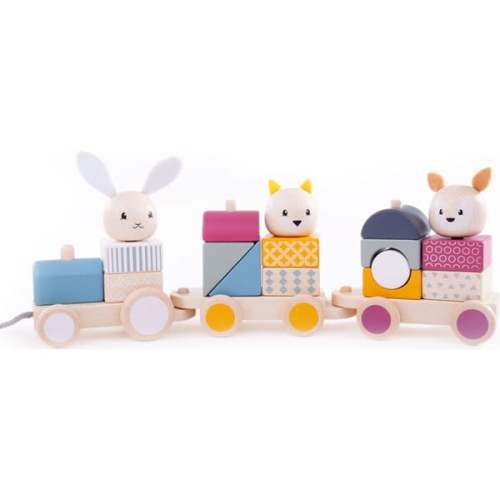 Activity Pull-Along Train - Bigjigs Toys | Maisonette