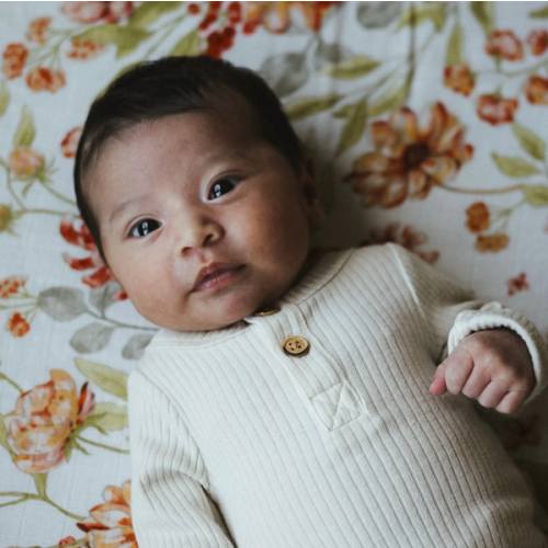 Adoption Attorney Fund