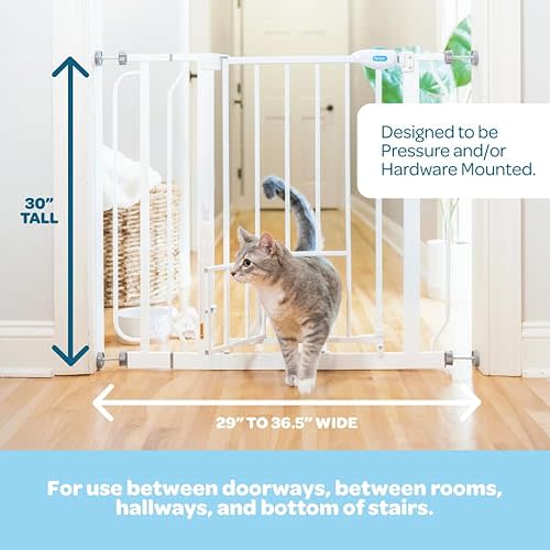 Carlson 29.5–36.5” Extra Wide Dog Gate with Small Pet Door, Walk-Through Pressure Mounted Metal Indoor Pet Safety Gate, Tested and Trusted by Pet Parents, American Designed, American Owned