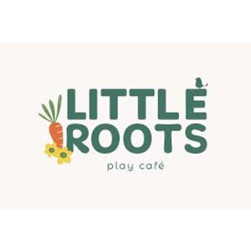 Little Roots Play Cafe- 10 visit play pack $150