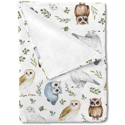 Watercolor Owls Green Leaves Baby Blanket for Girl Boy Owl Birds Boho Leaves Receiving Blanket Toddler Baby Newborn Nursery Crib Bed Throw Blanket Soft Swaddle Blanket Daycare Playmat 30x40