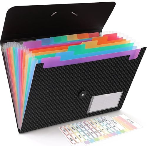 SKYDUE Expanding File Folder, Accordion File Organizer with 13 Pockets for A4/Letter Sized Paper, Accordion Folder with Labels - Document Receipt Organizer for Office, School, Home
