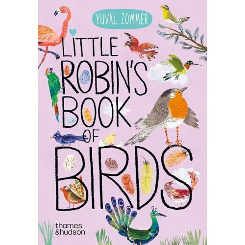 Little Robin's Book of Birds (Big Book of...)