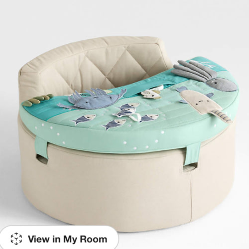 Aquatic Baby Activity Chair