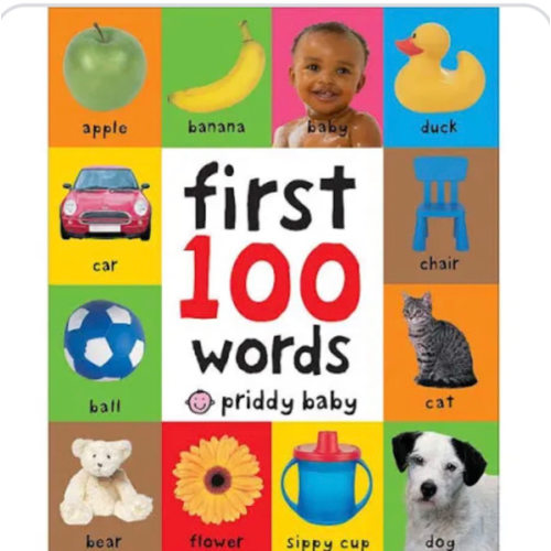 First 100 Words Book