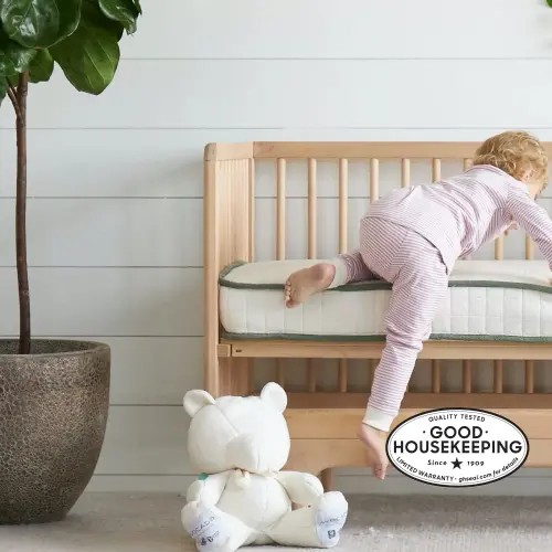 Eco Organic Mini Crib Mattress