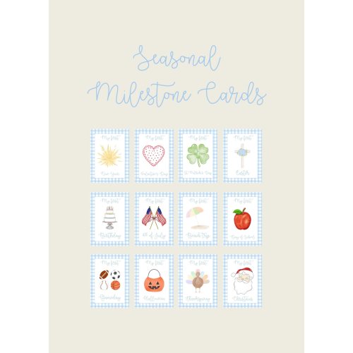 Printed or Digital Seasonal Milestone Cards, Baby Milestone Cards, Watercolor Milestone Card, Blue Gingham Milestone Cards