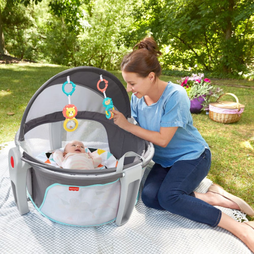 Fisher-Price On-the-Go Baby Dome - Windmill