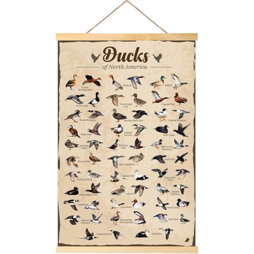 EIHFHIE Duck Hunting Gifts for Men Type Of Duck Poster Duck Hunting Decor Mallard Ducks Knowledge Wall Posters Duck Hunting Decorations Duck Gifts for Duck Lovers 16x25 In