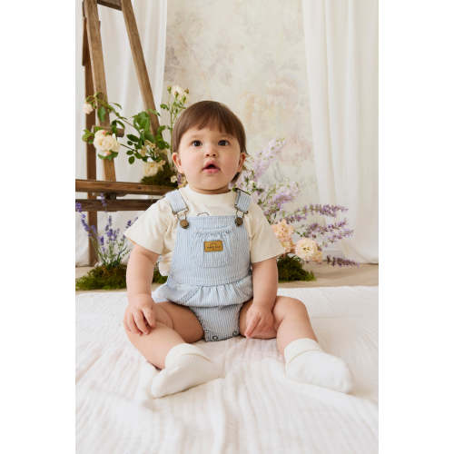 Denver Playsuit - Sunday Stripe – Jamie Kay USA