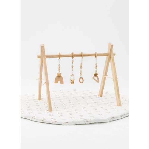 Play Gym Set