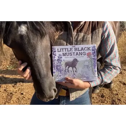 The Little Black Mustang — The Little Black Mustang