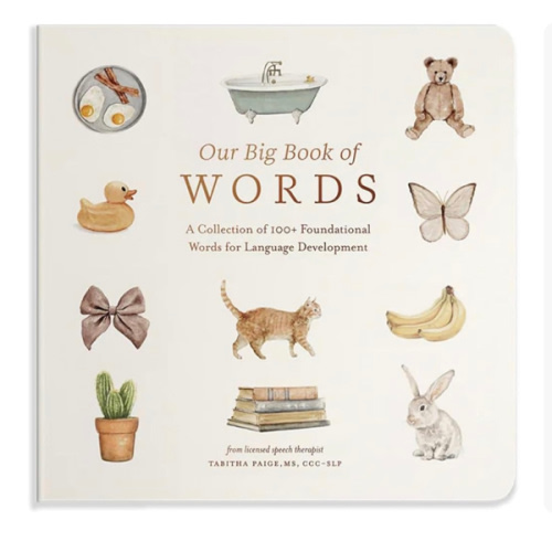 Our Big Book of First Words: A Collection of 100+ Foundational Words for Language Development (Tabitha Paige Children's Book Series)