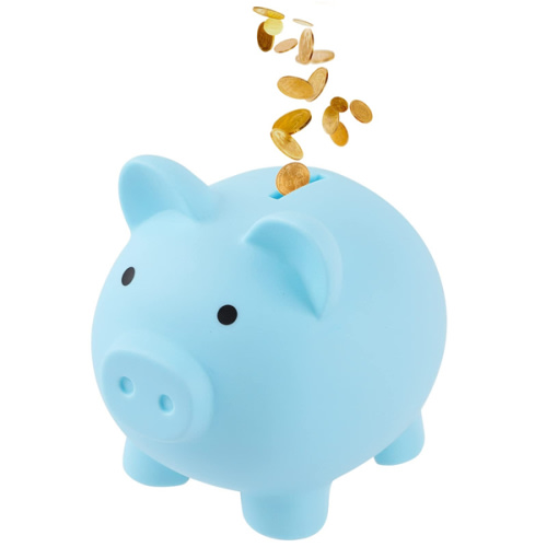 Baby’s First Savings Account