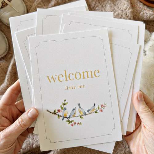 baby milestone cards – emily lex studio