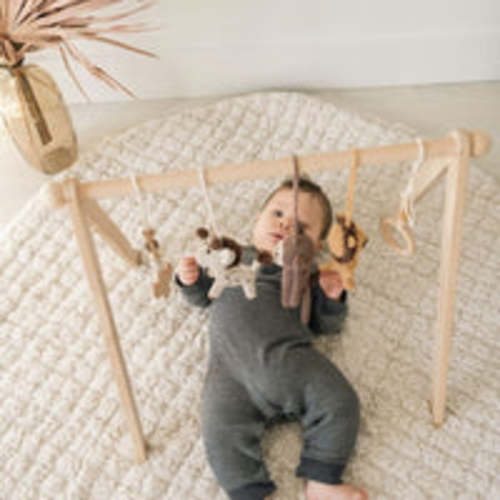 Baby Gym with Crochet Toys