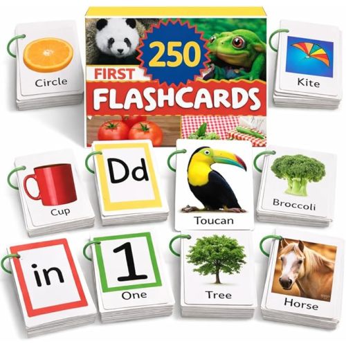 250 Flash Cards for Toddlers 1-3 with Rings, Toddler Flashcards with ABC Flash Cards Included, Improve Talking Flash Cards, Toddler Flash Cards 1-2