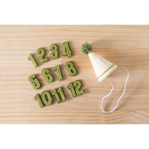 Personalized Felt Baby Mini Monthly Birthday Interchangeable Number Hat with Pom Pom