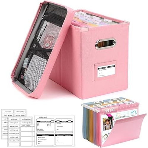 DOSTATNI School Years Organizer Kit K-12 School Years Memory Keeper with 15 Hanging File Folders Plastic 4 different Labels Memory Keepsake Box for kids Storage Pictures File Keeper (Pink)