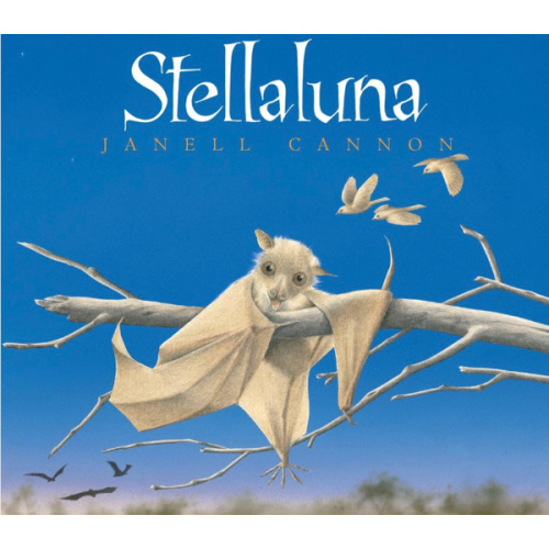 Stellaluna Board Book by Janell Cannon | Avant Garden Bookstore