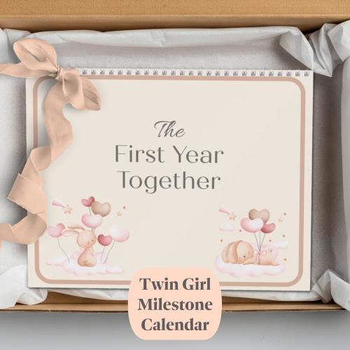 Twin Baby Milestone Calendar, First Year Wall Calendar, Twin Girl Nursery Keepsake, Monthly Memory Tracker for Twins, Twin Parent Gift