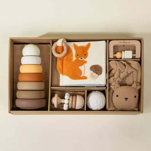 Baby First Toys Gift Box