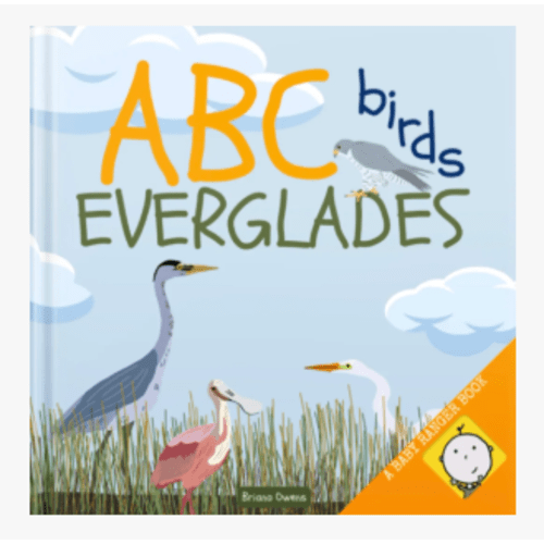 ABC Birds- Everglades - Florida National Parks Association