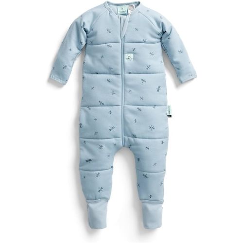 ergoPouch Sleep Onesie 2.5 TOG – Warm Baby Romper & Sleep Layer with Full-Zip, Guarding Against Blankets, Breathable & Movement-Friendly, Ideal for Transitional Sleeping (12-24 Months, Dragonflies)