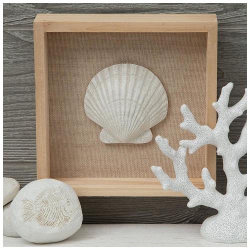 Seashell Framed Wood Decor