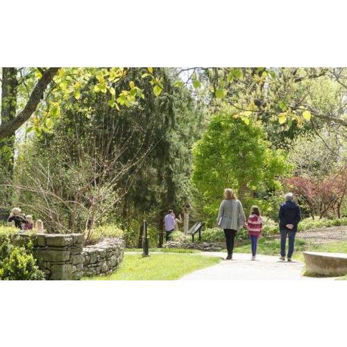 Membership | Cheekwood Estate & Gardens