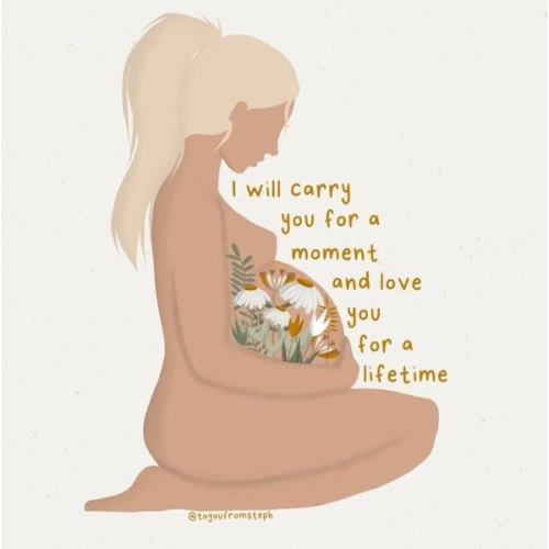 Birth Expense and Diaper Fund 🥰