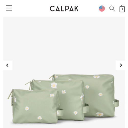 Water Resistant Zip Pouch Set (3 Pieces)