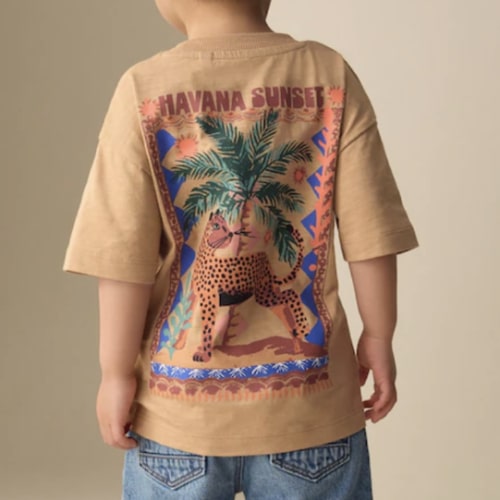 3-4Y Buy Tan Cheetah Havana Sunset Short Sleeve Back Print T-Shirt (3mths-7yrs) from Next USA