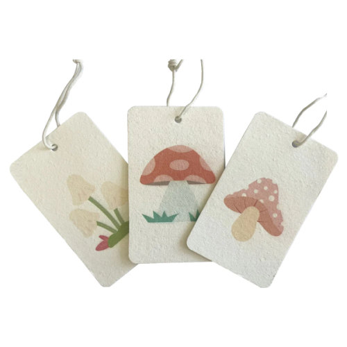 Compostable Eco Sponge - Set of 3