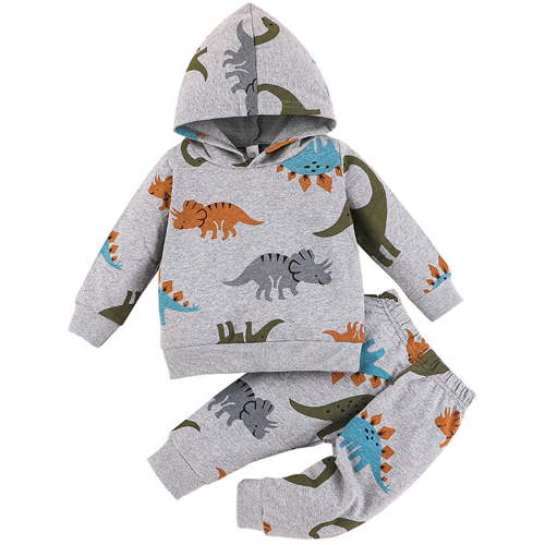 LAPAKIDS Baby Boy Clothes 3-6 Months Winter Dinosaur Print Hoodie Tops Pants Infant Boy Outfits 2Pcs