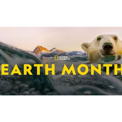 National Geographic Kids Magazine Subscriptions | National Geographic