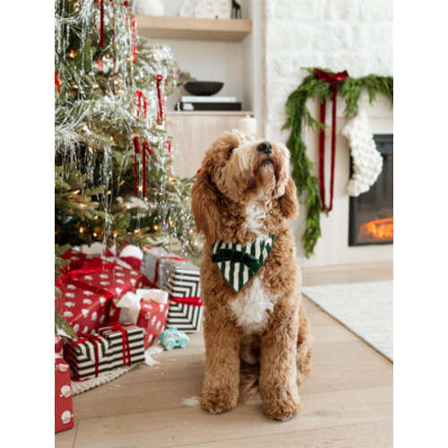 Yeehaw Cowgirl Zipper Romper – In My Jammers