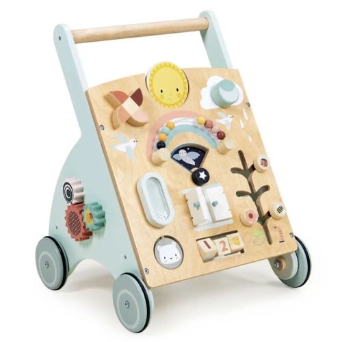 Sunshine Activity Baby Walker